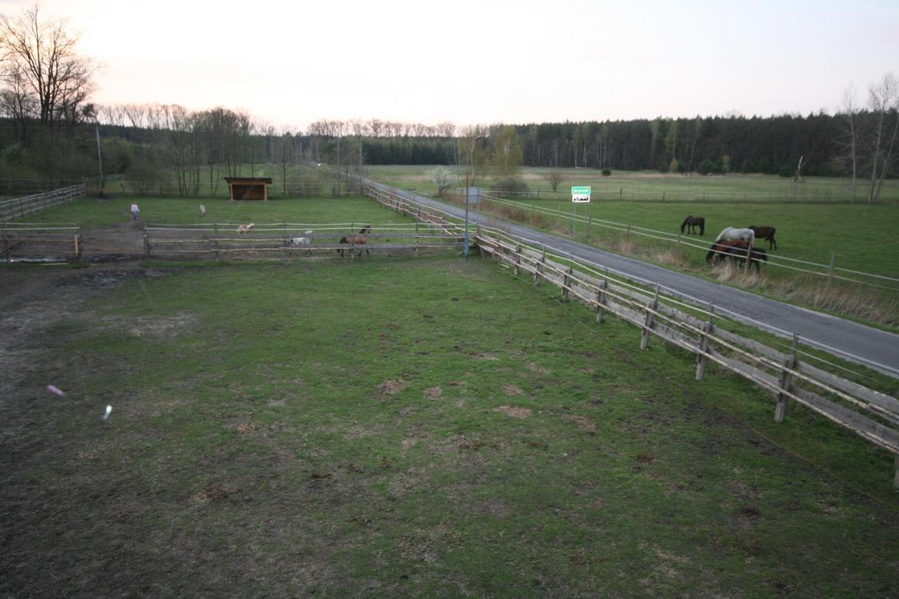 Appartamento Lesniczowka Grabczok Esterno foto